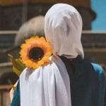 منال العبدالله profile picture