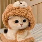 Longde Longde Profile Picture